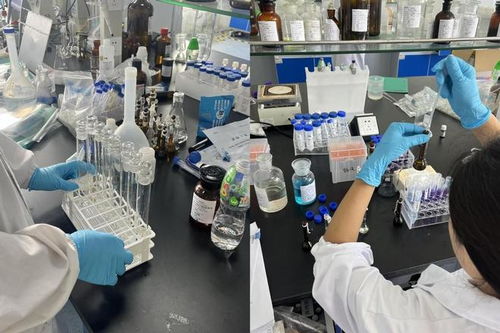 選擇熠品，加速產品準入 專業ISO 10993生物相容性測試服務